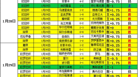 羽毛球年终赛：邓谢联袂对决金牌搭档，虽败犹荣，下一战誓夺胜利！